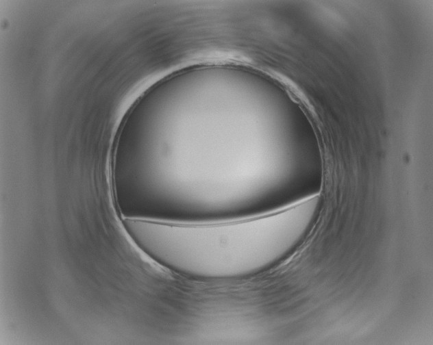 X0000072991343200607211021