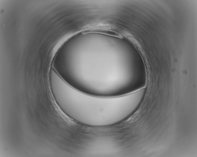 X0000072991344200607211021