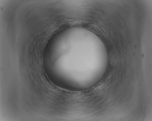 X0000072991345200607211020