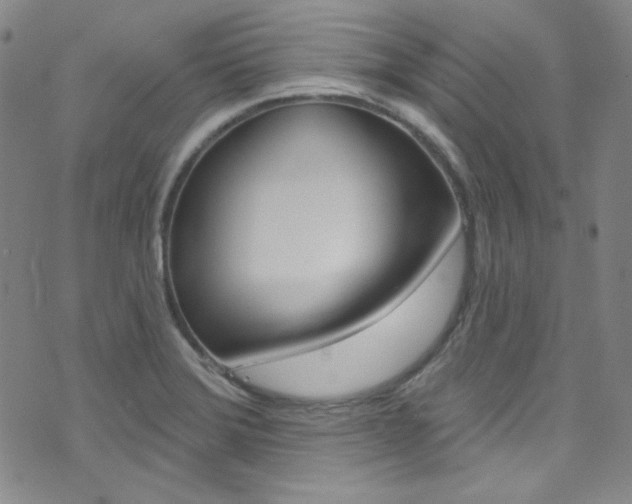 X0000072991372200607211020