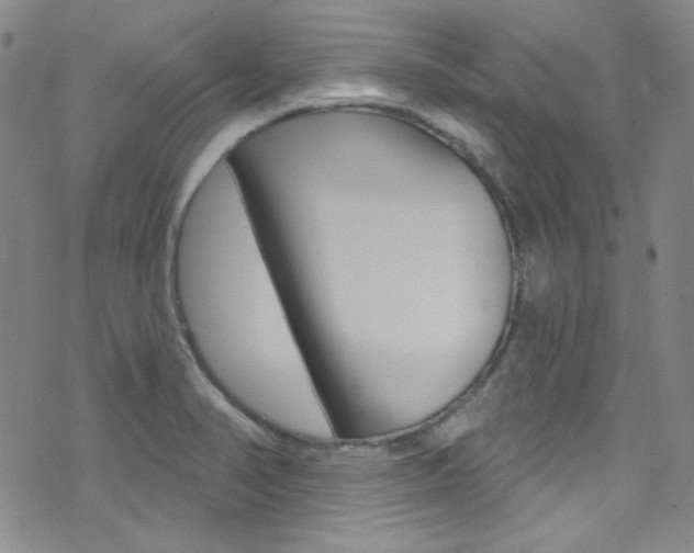 X0000072991374200607211020