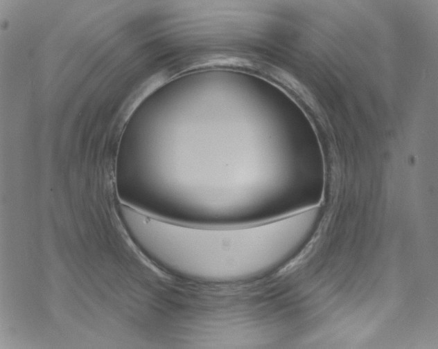 X0000072991377200607211020