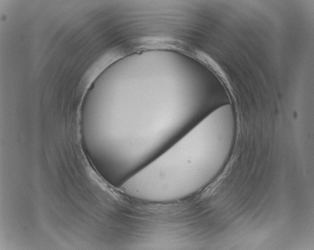 X0000072991386200607211020