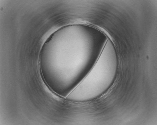 X0000072991387200607211020