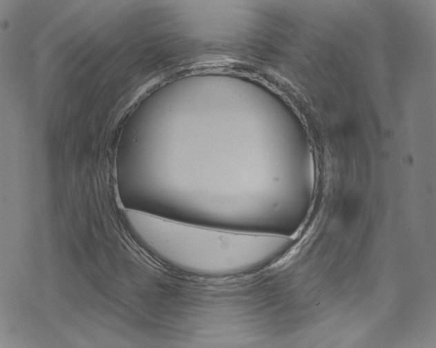 X0000072991401200607211019