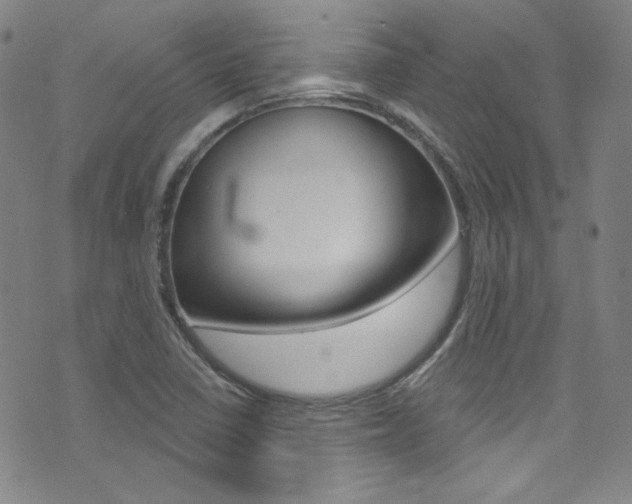 X0000072991410200607211019