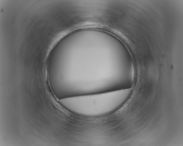 X0000072991413200607211019