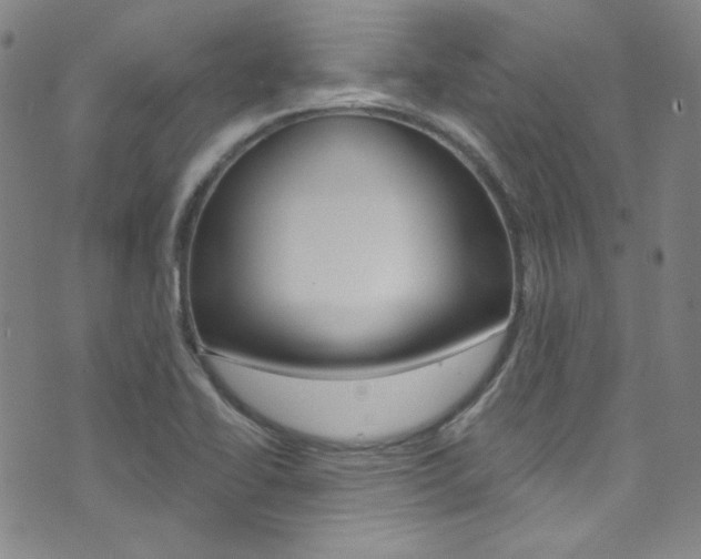X0000072991414200607211019