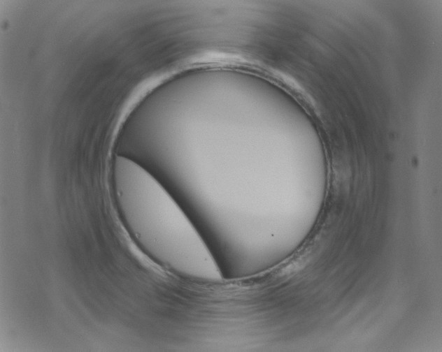 X0000072991421200607211019