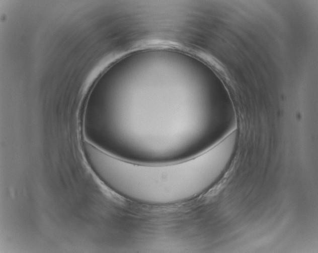 X0000072991430200607211019