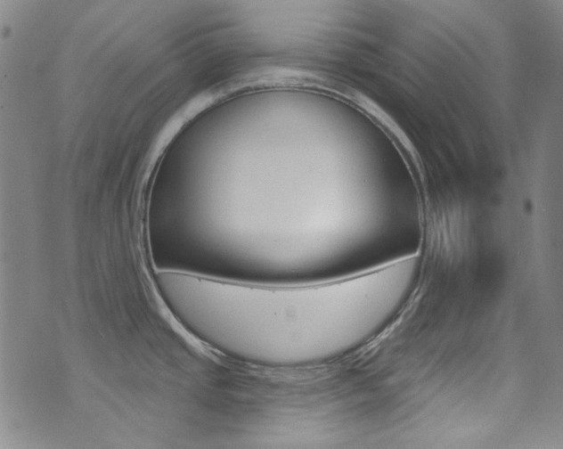 X0000072991437200607211020