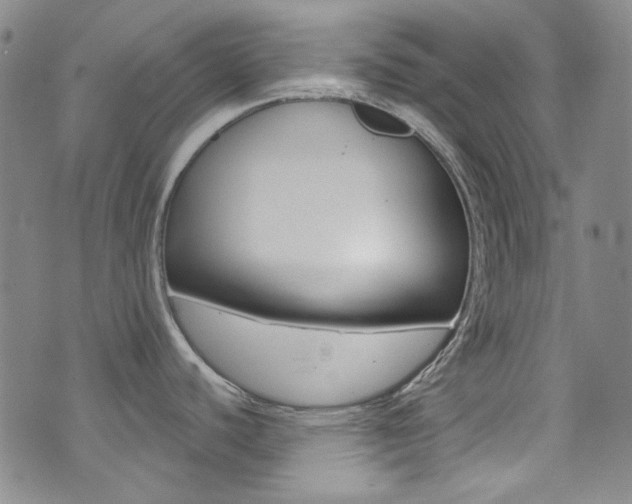 X0000072991440200607211020