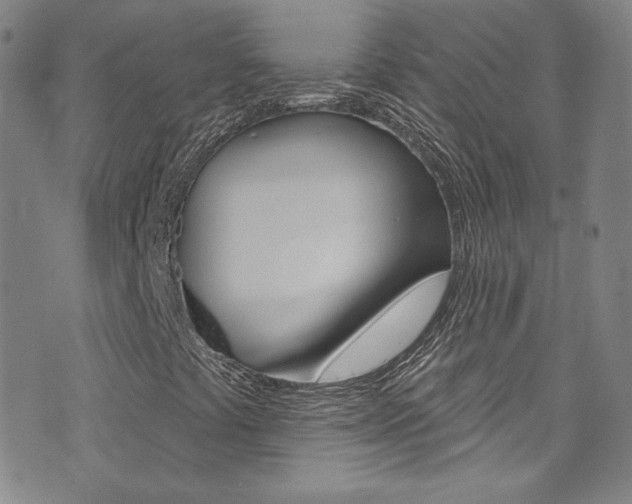 X0000072991441200607211019