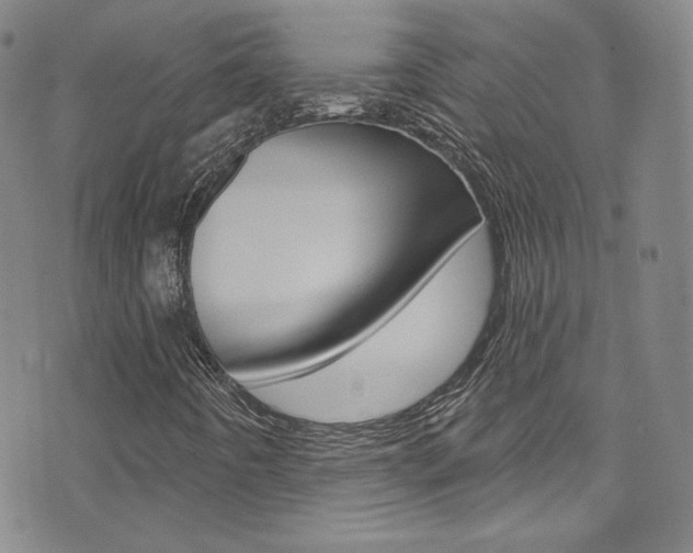 X0000072991442200607211019