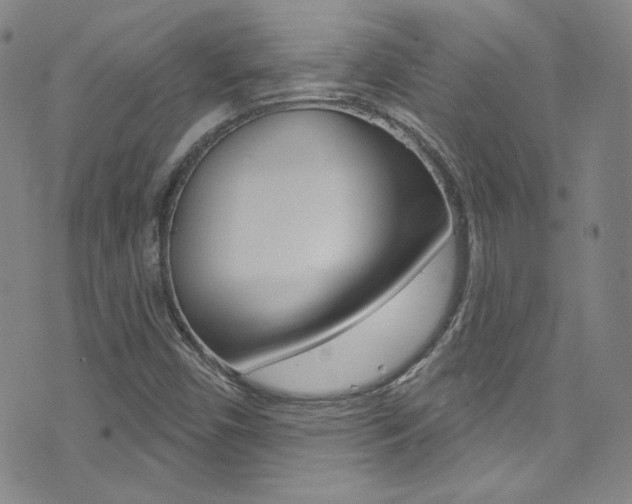X0000072991450200607211019