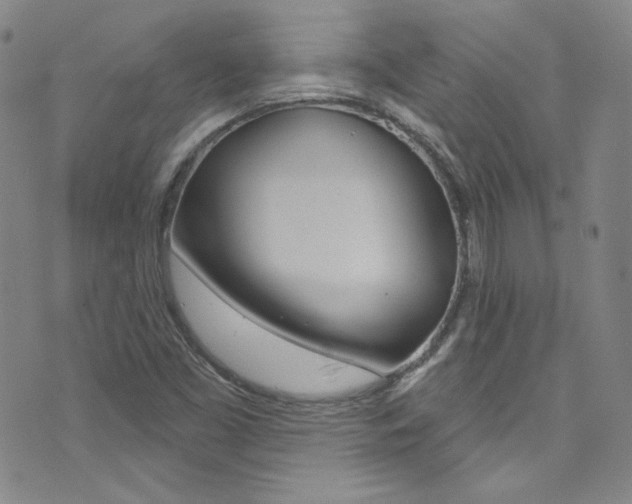 X0000072991453200607211019