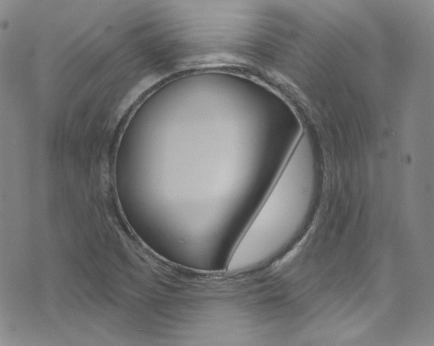 X0000072991457200607211019