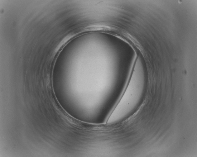 X0000072991465200607211018
