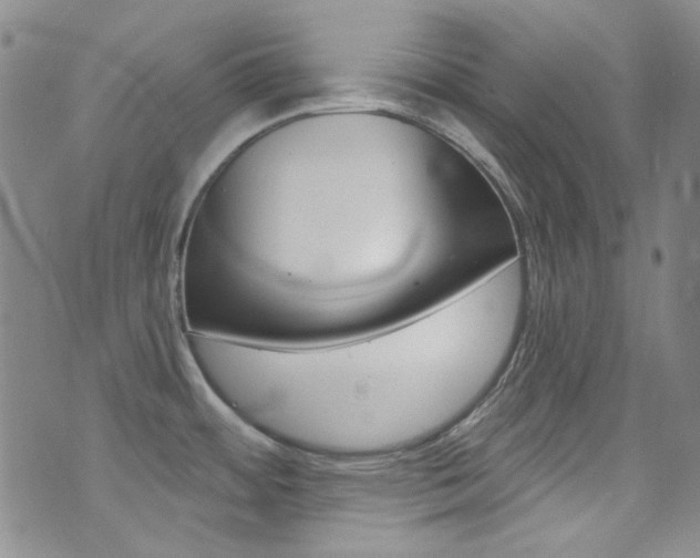 X0000072991484200607211018