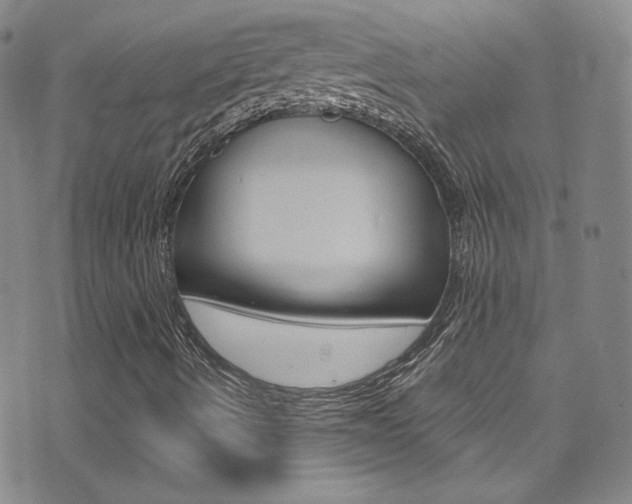 X0000072991490200607211017