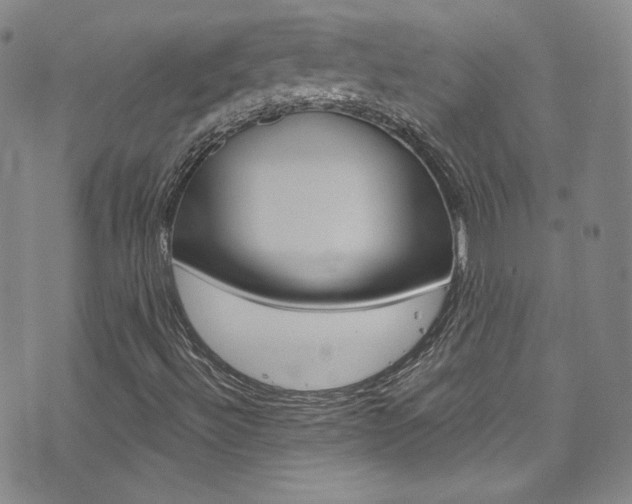 X0000072991492200607211017