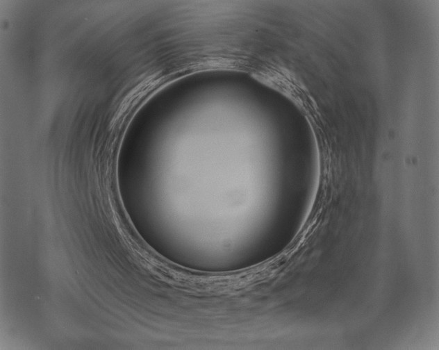 X0000072990001200607211210