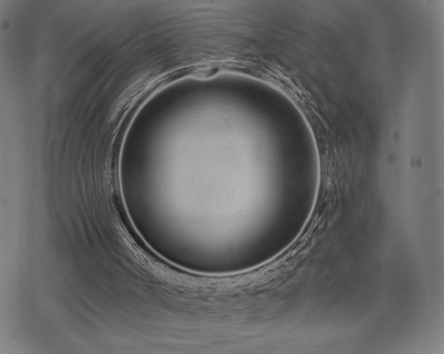 X0000072990002200607211210