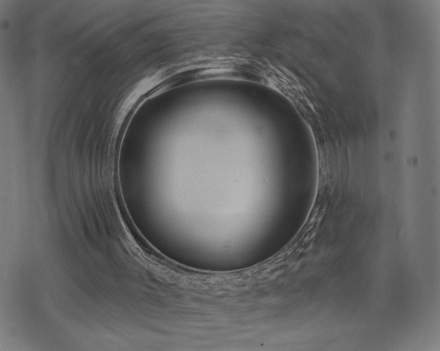 X0000072990003200607211210