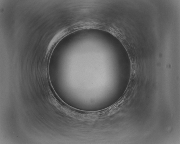 X0000072990004200607211210