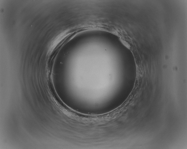 X0000072990005200607211210