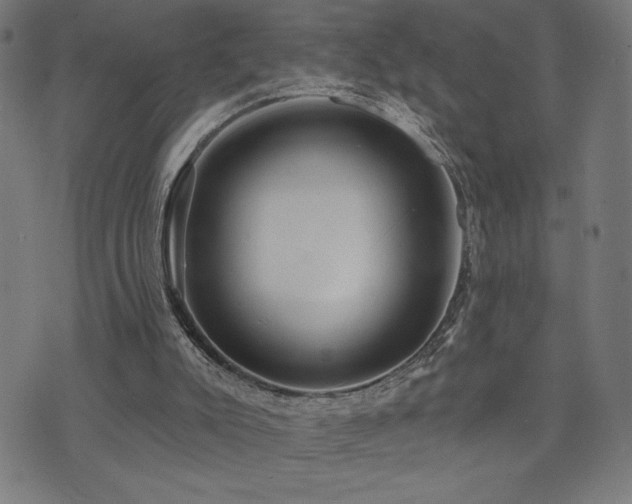 X0000072990007200607211210