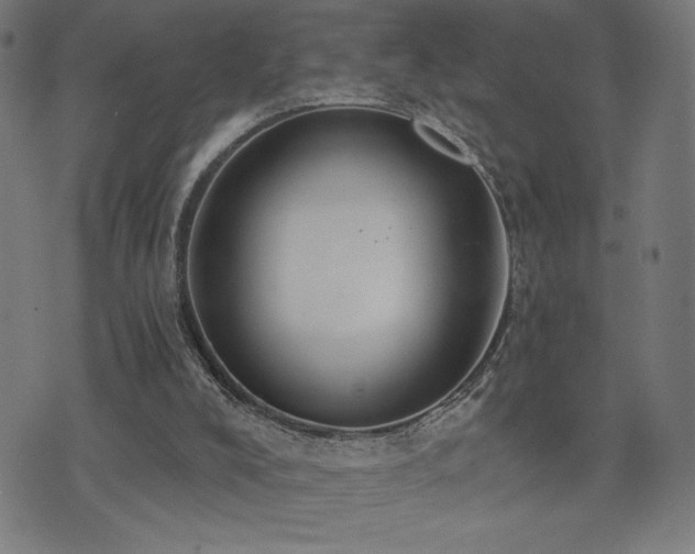 X0000072990008200607211210