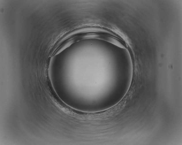 X0000072990009200607211210