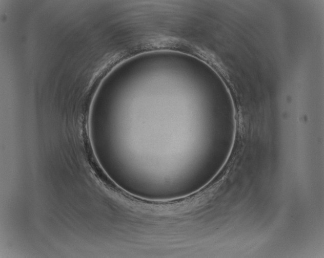 X0000072990010200607211210