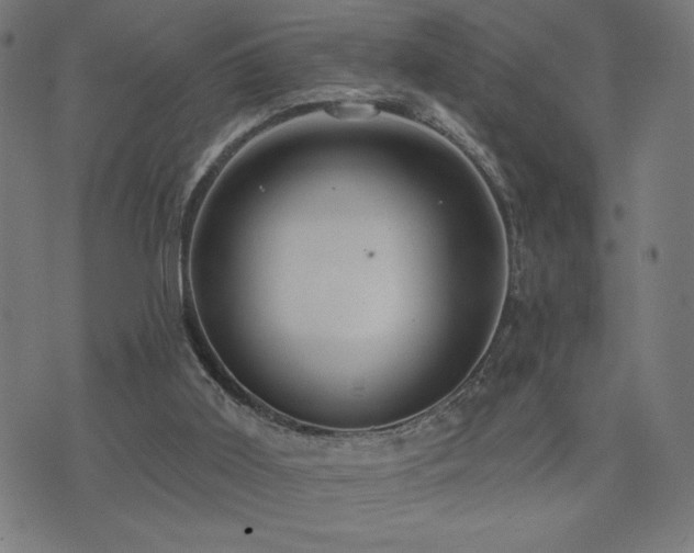 X0000072990011200607211210