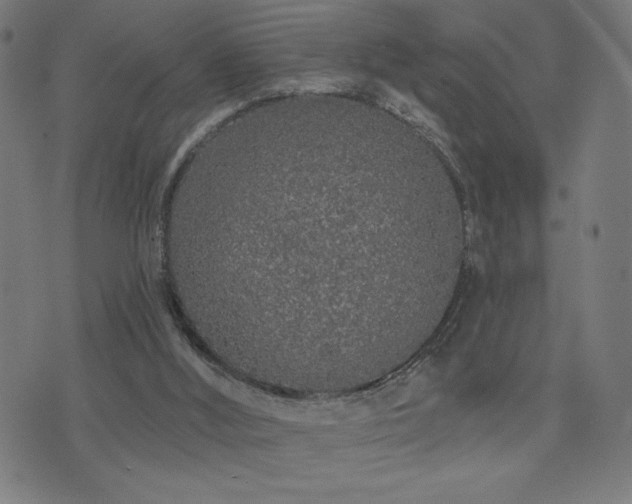 X0000072990012200607211210