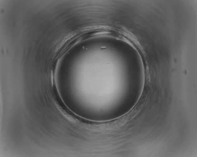 X0000072990013200607211210