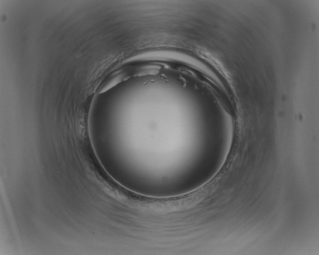 X0000072990017200607211210