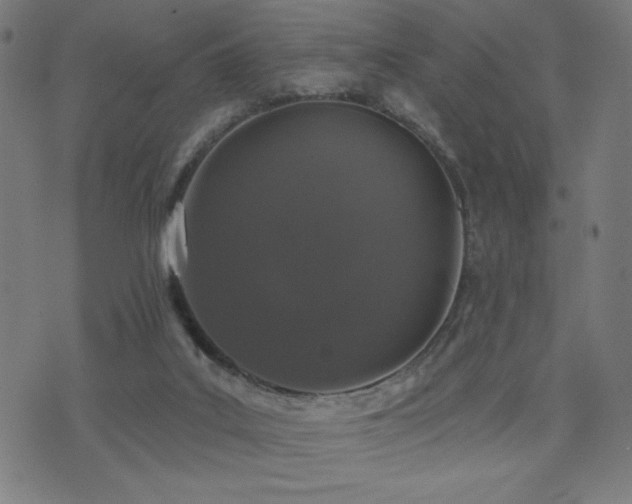 X0000072990019200607211210