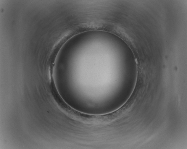 X0000072990020200607211210