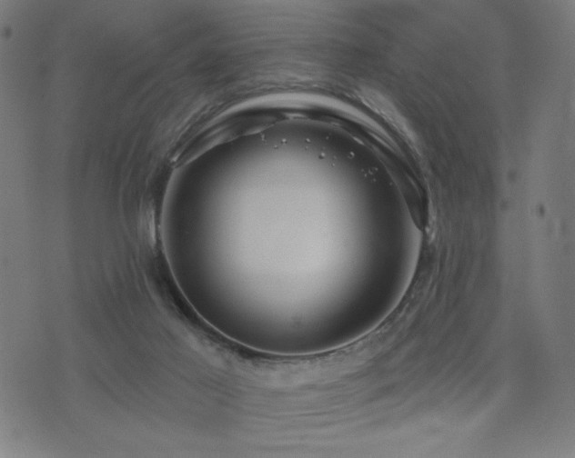 X0000072990021200607211210