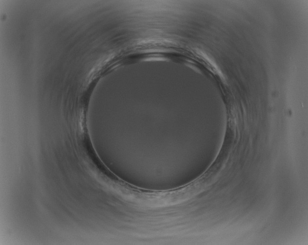 X0000072990023200607211210