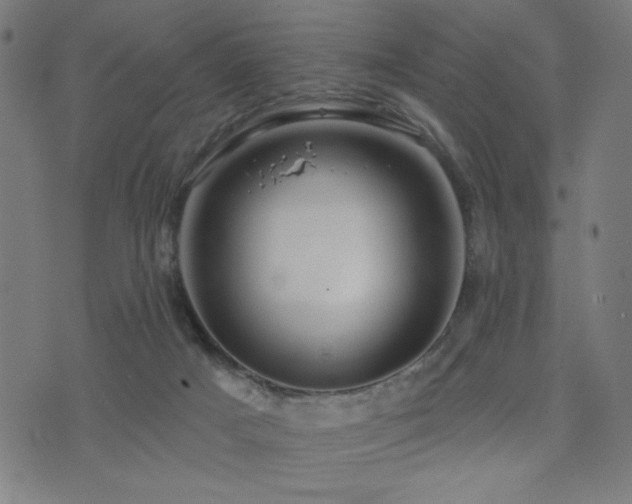 X0000072990025200607211210