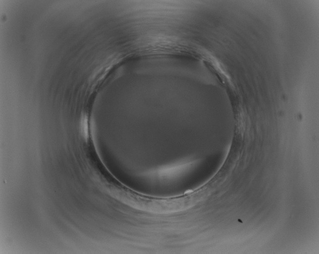 X0000072990027200607211210