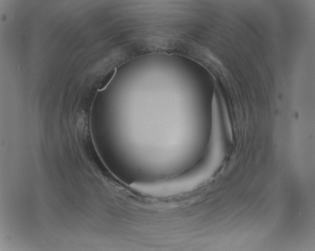 X0000072990029200607211210