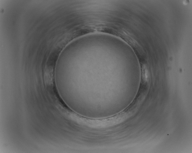 X0000072990030200607211210