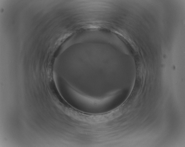 X0000072990031200607211210