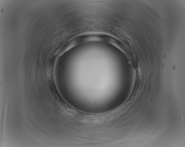 X0000072990033200607211210