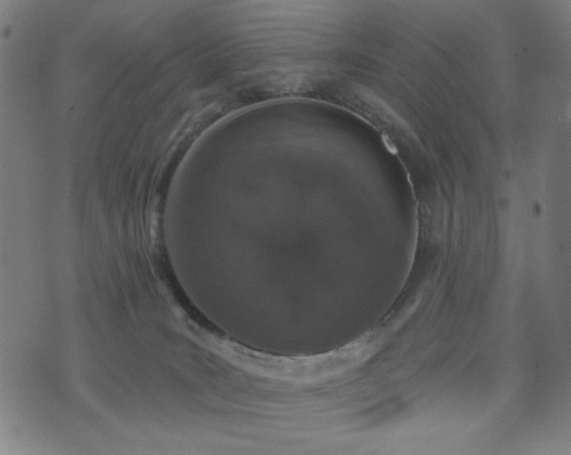 X0000072990035200607211210