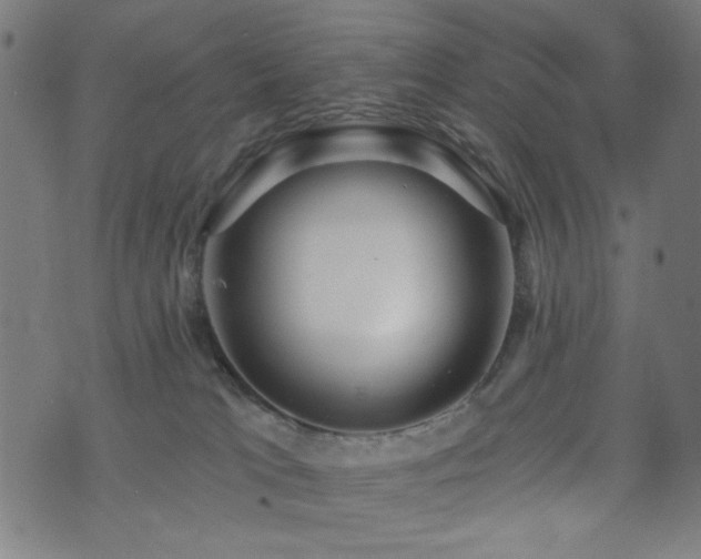 X0000072990037200607211210